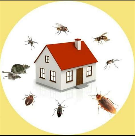 General Pest Control Services .